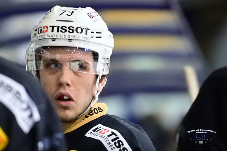 Dominik Volejnicek et David Prysi rejoignent les Abeilles
