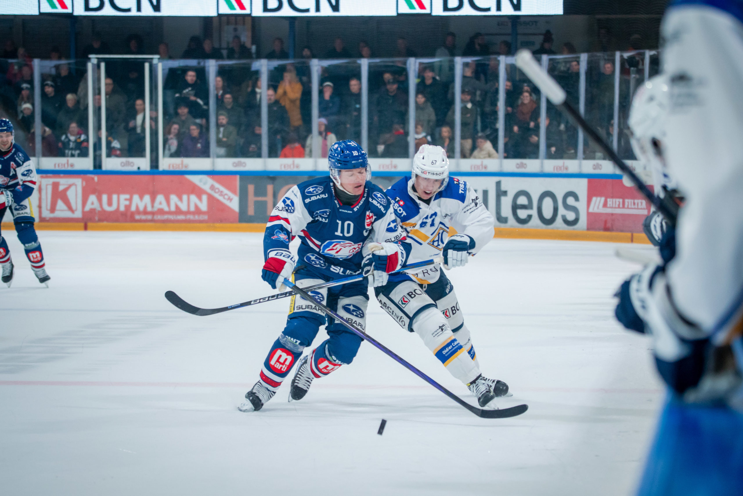 Les Lionceaux ont vengé les Sauterelles