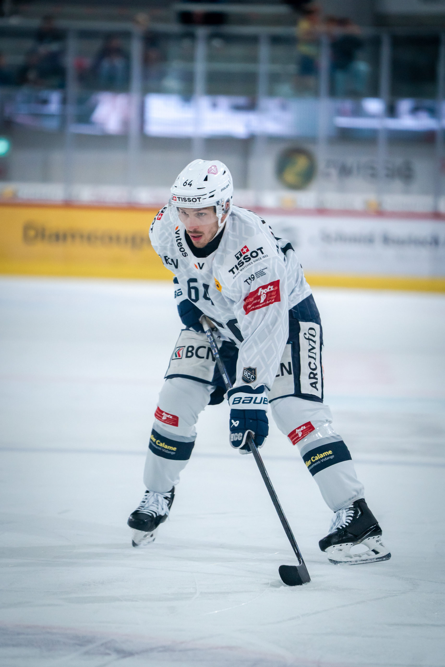 Indigestion de viande grisonne